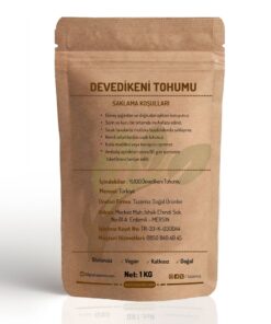 devedikeni tohumu çekirdeği