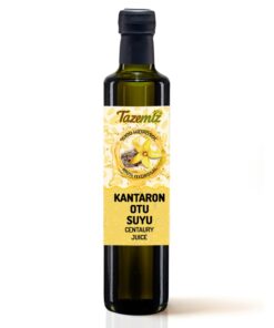 Kantaron Otu Suyu 500ml