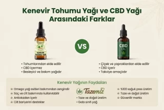 Kenevir Tohumu Yağı Nedir? CBD Yağı ile Farkı, Faydaları ve Kullanımı | Tazemiz